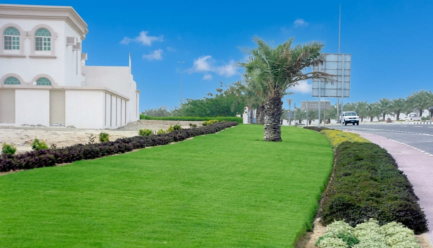 Beautification of Khalifa Underpass – Qatar  Gallery Image